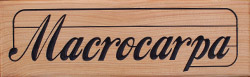 macrocarpa wood sample with carved text, link to pricing