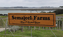 Semajell 1000mm x 250mm H3 pine wooden sign home of Les and Karen
