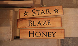 stable tags star, blaze and honey text on macrocarpa timber