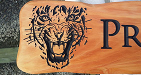 tiger carved into macrocarpa